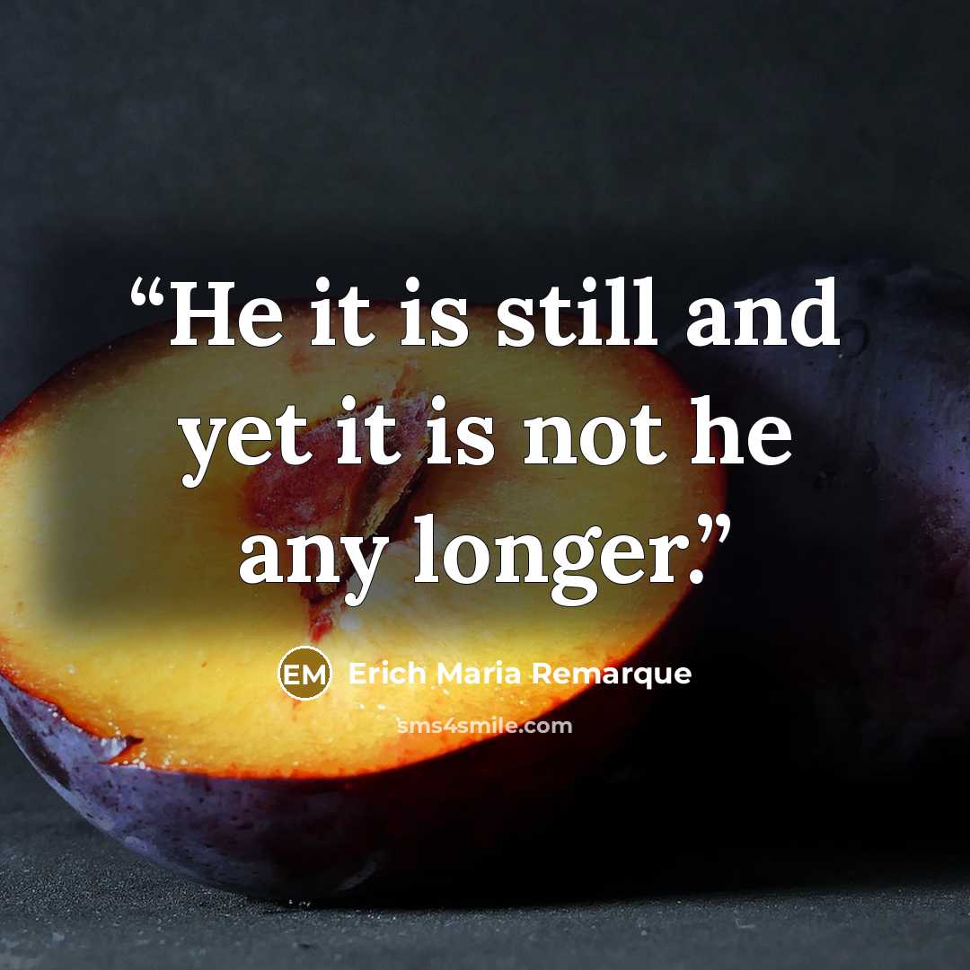 “He it is still and yet it is not he any longer.” quote by Erich Maria Remarque