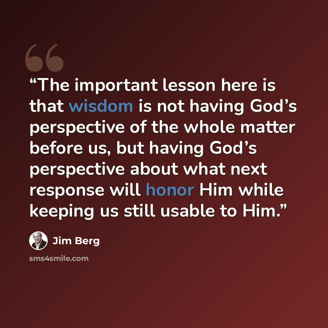 “The important lesson here is that wisdom is not having God’s perspective of the whole matter before us, but having God’s perspective about what next response will honor Him while keeping us still usable to Him.” quote by Jim Berg