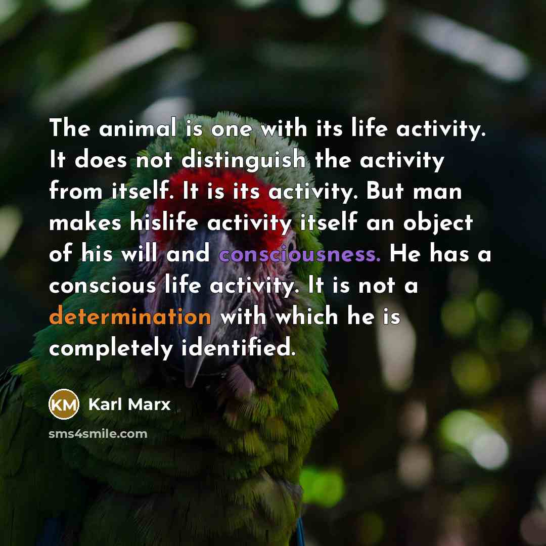 “The animal is one with its life activity. It does not distinguish the activity from itself. It is its activity. But man makes hislife activity itself an object of his will and consciousness. He has a conscious life activity. It is not a determination with which he is completely identified.” quote by Karl Marx