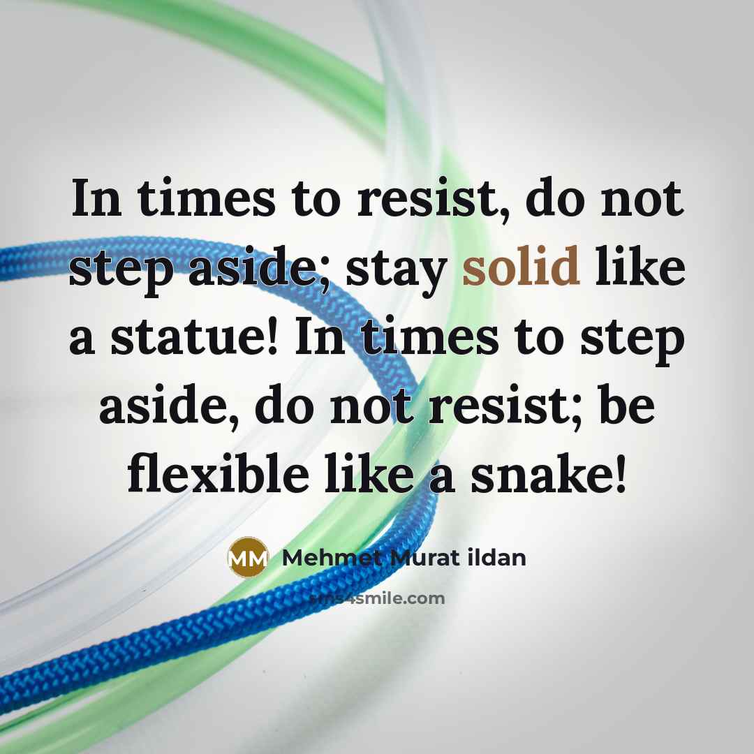 “In times to resist, do not step aside; stay solid like a statue! In times to step aside, do not resist; be flexible like a snake!” quote by Mehmet Murat Ildan