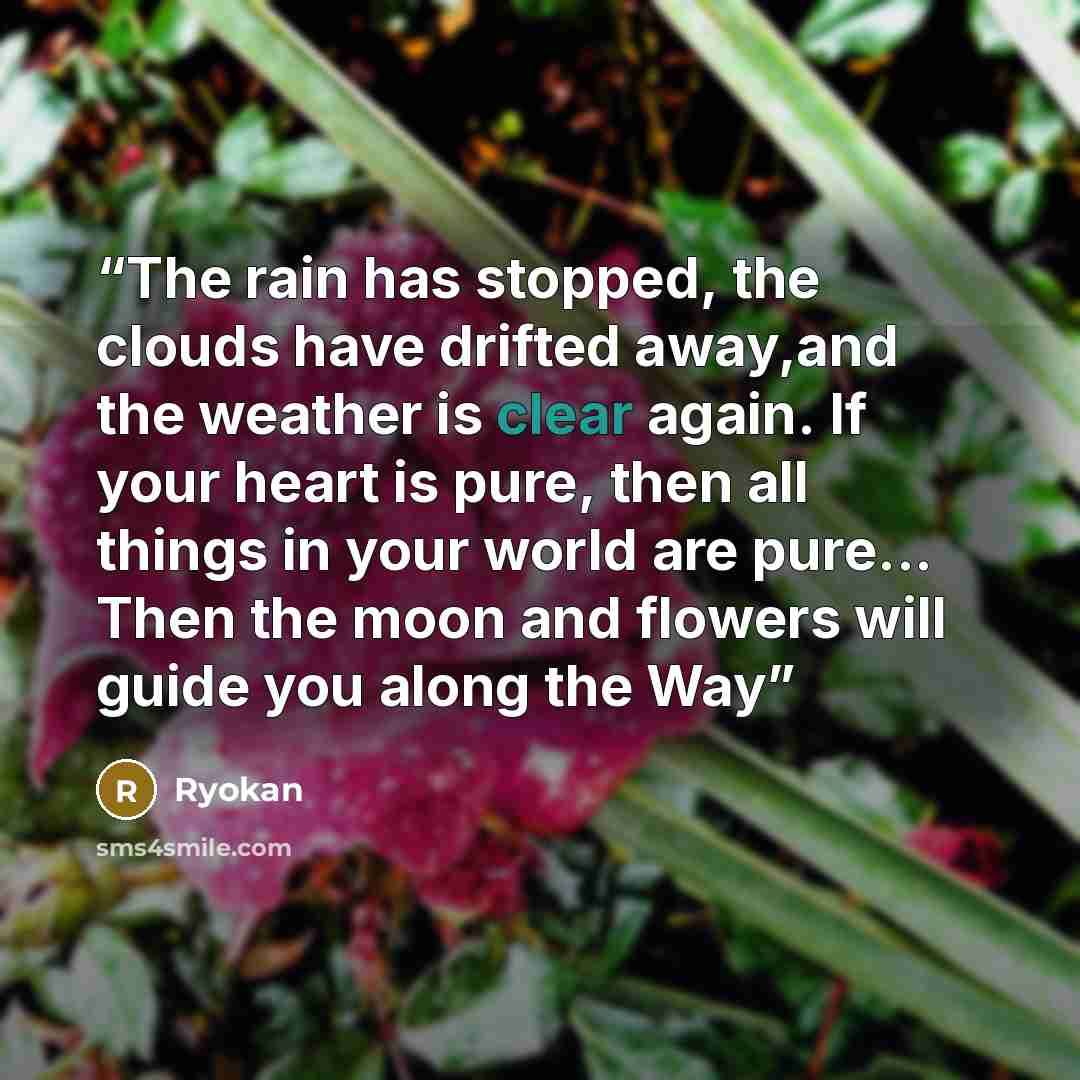“The rain has stopped, the clouds have drifted away,and the weather is clear again. If your heart is pure, then all things in your world are pure... Then the moon and flowers will guide you along the Way” quote by Ryokan