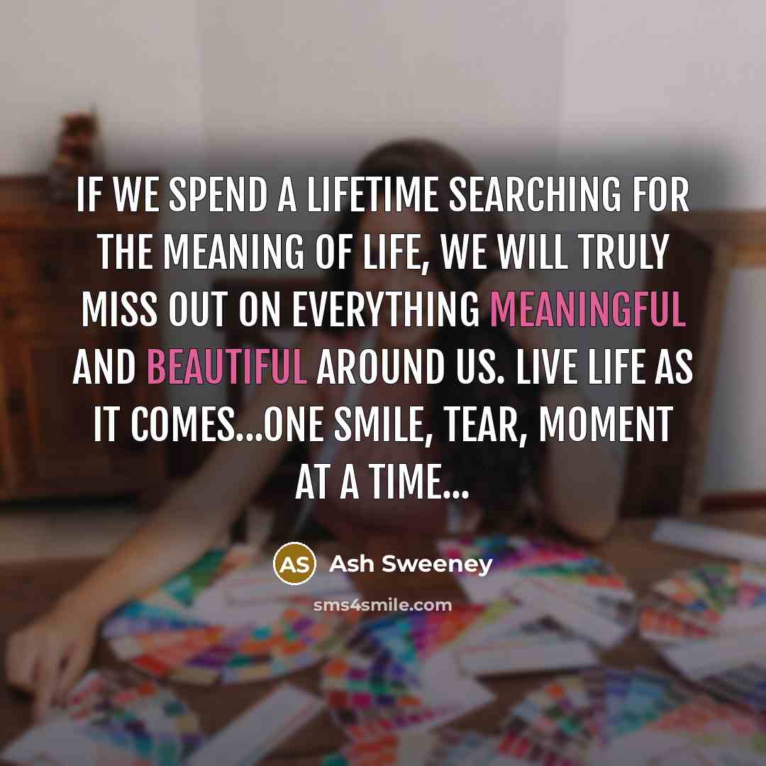 “If we spend a lifetime searching for the meaning of life, we will truly miss out on everything meaningful and beautiful around us. Live life as it comes...one smile, tear, moment at a time...” quote by Ash Sweeney