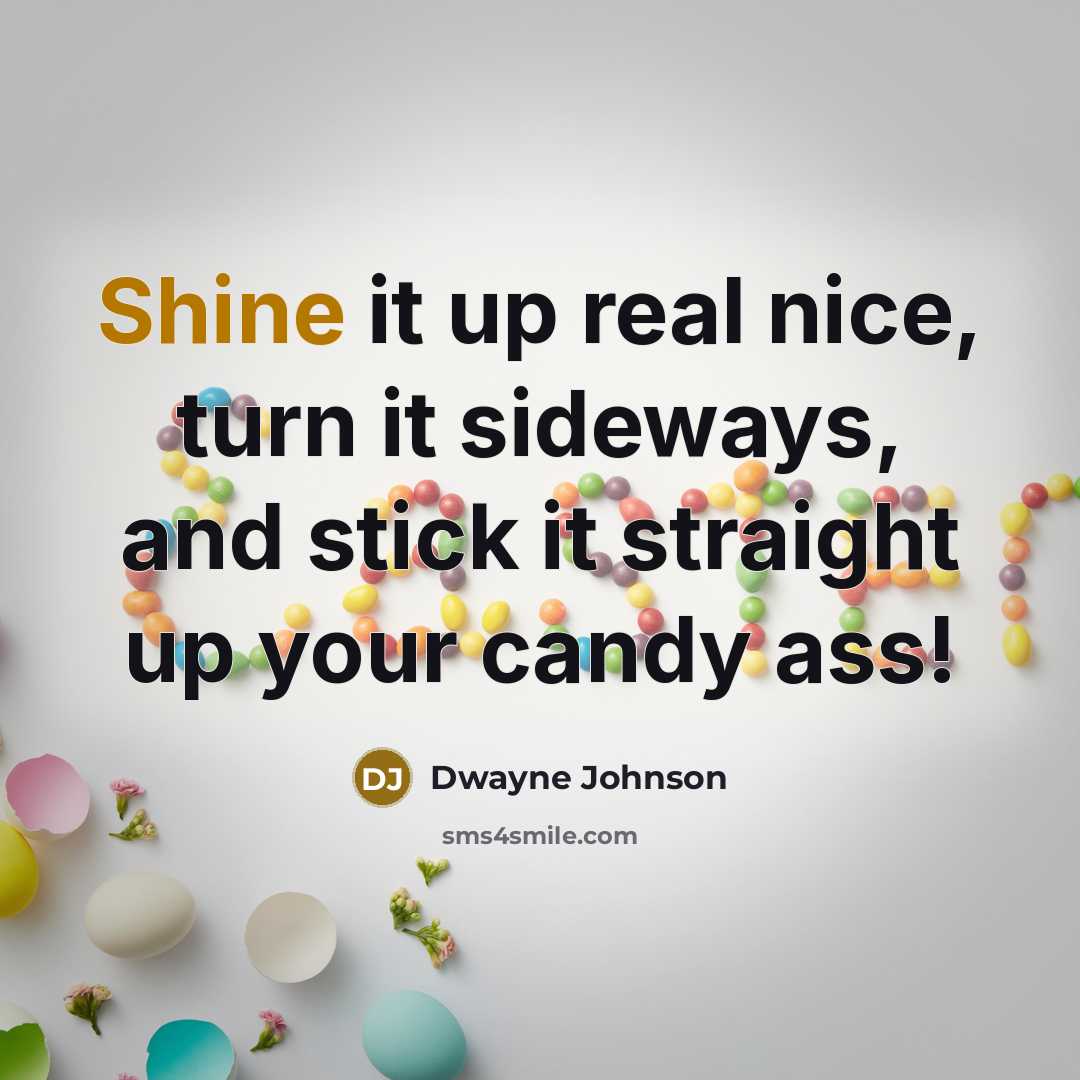 “Shine it up real nice, turn it sideways, and stick it straight up your candy ass!” quote by Dwayne Johnson