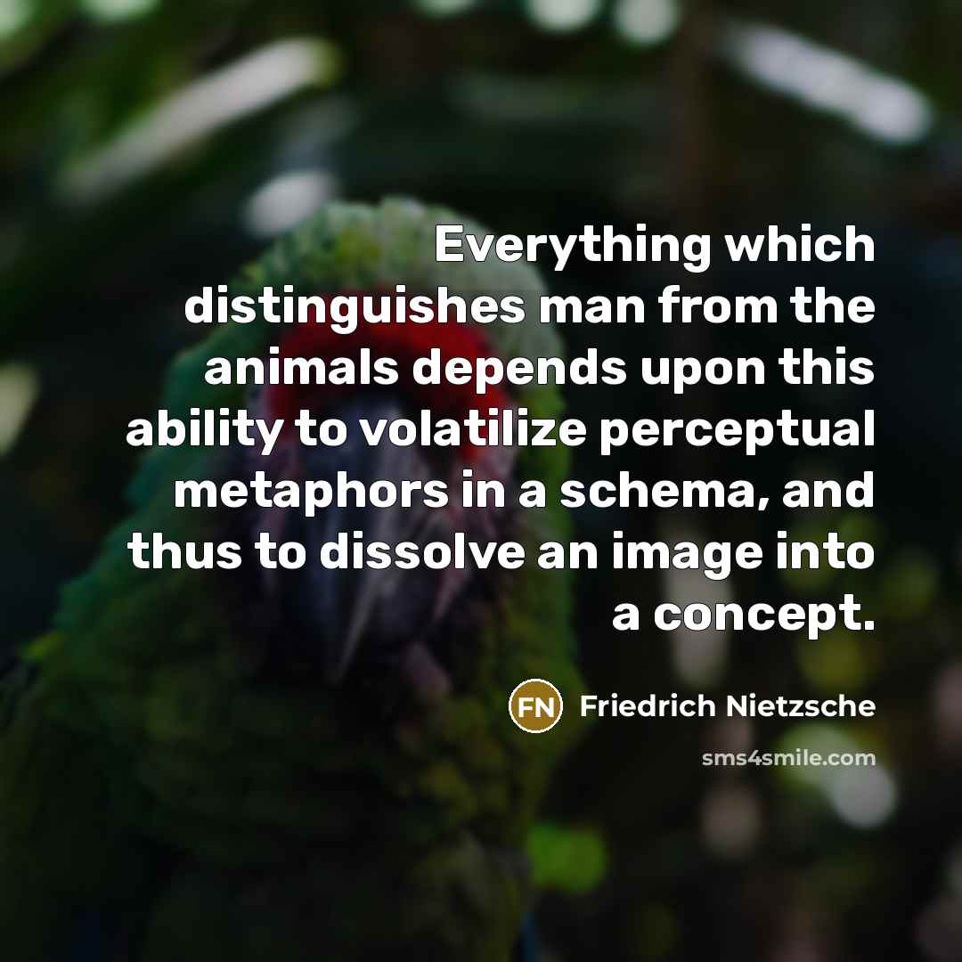 “Everything which distinguishes man from the animals depends upon this ability to volatilize perceptual metaphors in a schema, and thus to dissolve an image into a concept.” quote by Friedrich Nietzsche
