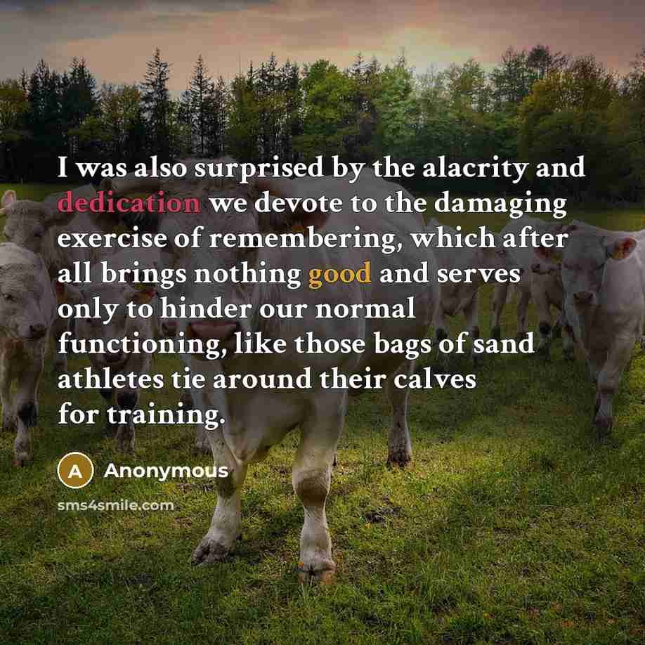 “I was also surprised by the alacrity and dedication we devote to the damaging exercise of remembering, which after all brings nothing good and serves only to hinder our normal functioning, like those bags of sand athletes tie around their calves for training.” quote by Anonymous