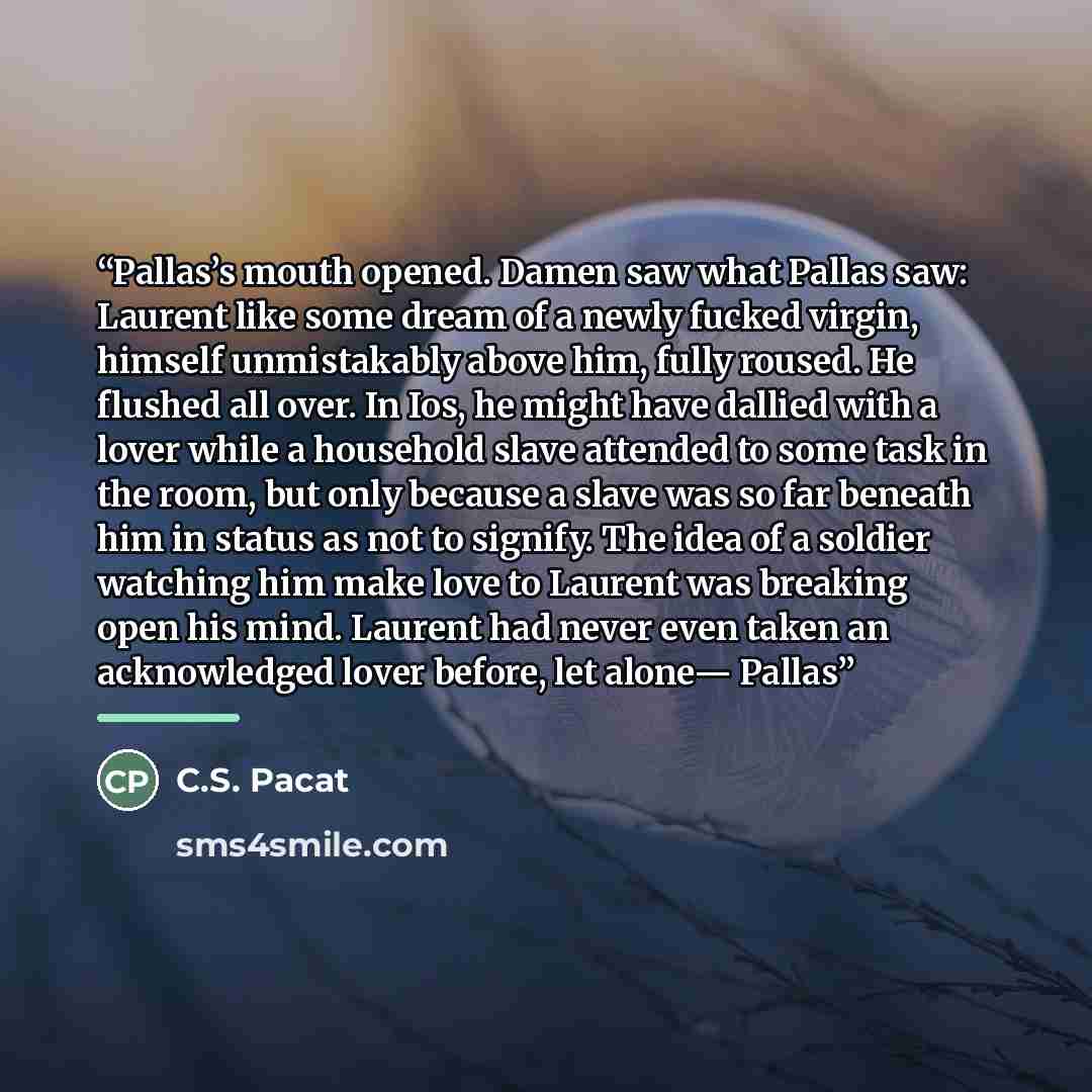 “Pallas’s mouth opened. Damen saw what Pallas saw: Laurent like some dream of a newly fucked virgin, himself unmistakably above him, fully roused. He flushed all over. In Ios, he might have dallied with a lover while a household slave attended to some task in the room, but only because a slave was…” quote by C.S. Pacat