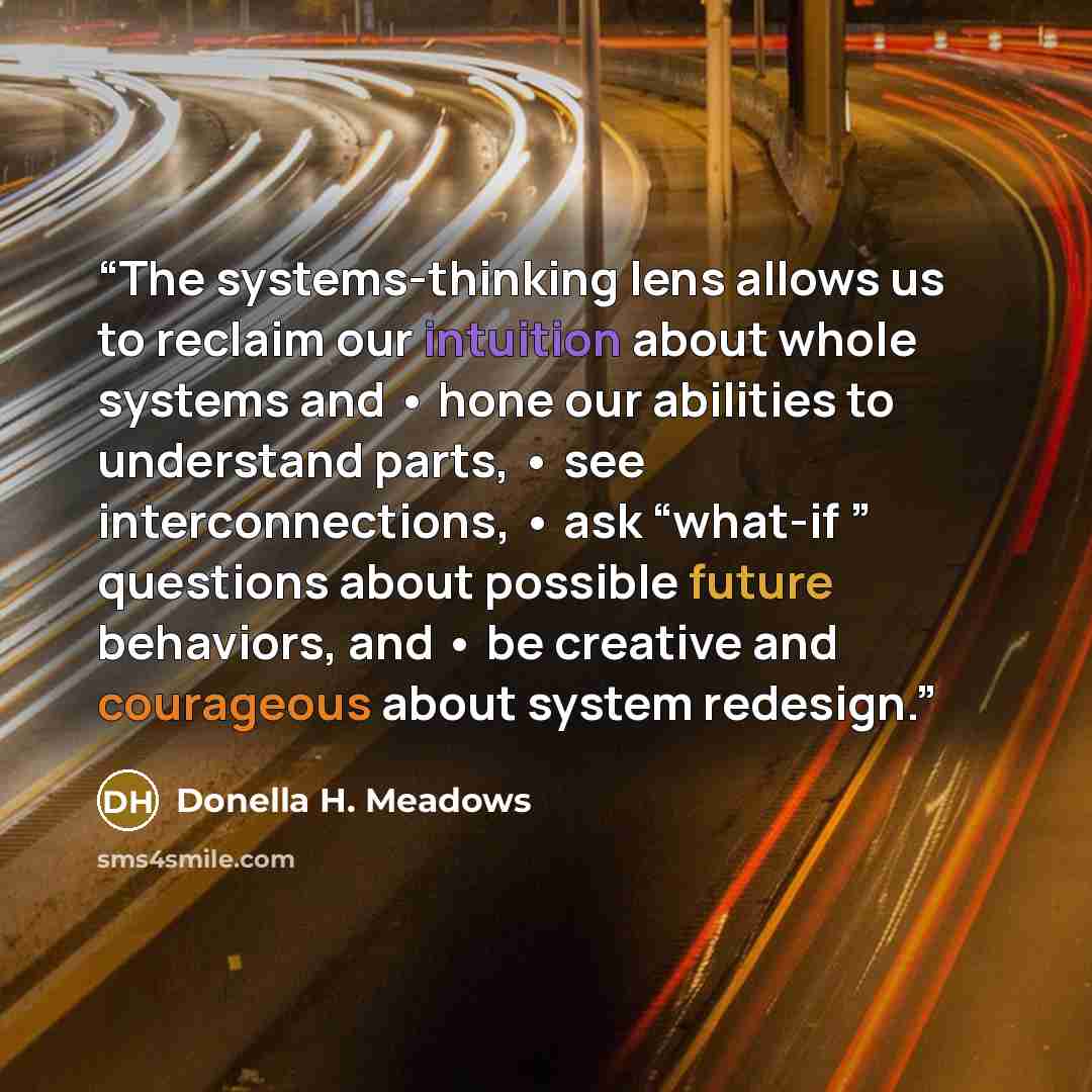 “The systems-thinking lens allows us to reclaim our intuition about whole systems and • hone our abilities to understand parts, • see interconnections, • ask “what-if ” questions about possible future behaviors, and • be creative and courageous about system redesign.” quote by Donella H. Meadows