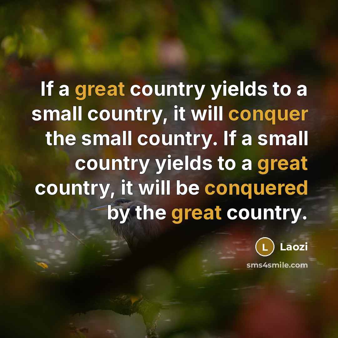 “If a great country yields to a small country, it will conquer the small country. If a small country yields to a great country, it will be conquered by the great country.” quote by Laozi