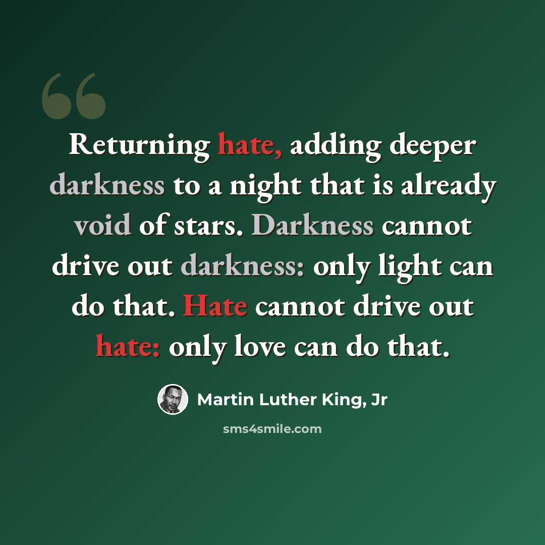 “Returning hate, adding deeper darkness to a night that is already void of stars. Darkness cannot drive out darkness: only light can do that. Hate cannot drive out hate: only love can do that.” quote by Martin Luther King, Jr