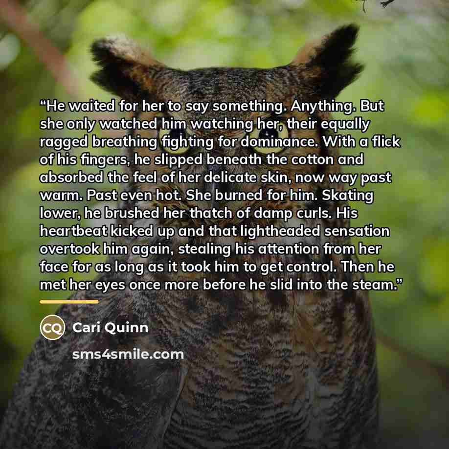 “He waited for her to say something. Anything. But she only watched him watching her, their equally ragged breathing fighting for dominance. With a flick of his fingers, he slipped beneath the cotton and absorbed the feel of her delicate skin, now way past warm. Past even hot. She burned for him…” quote by Cari Quinn