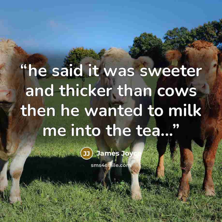 “he said it was sweeter and thicker than cows then he wanted to milk me into the tea...” quote by James Joyce
