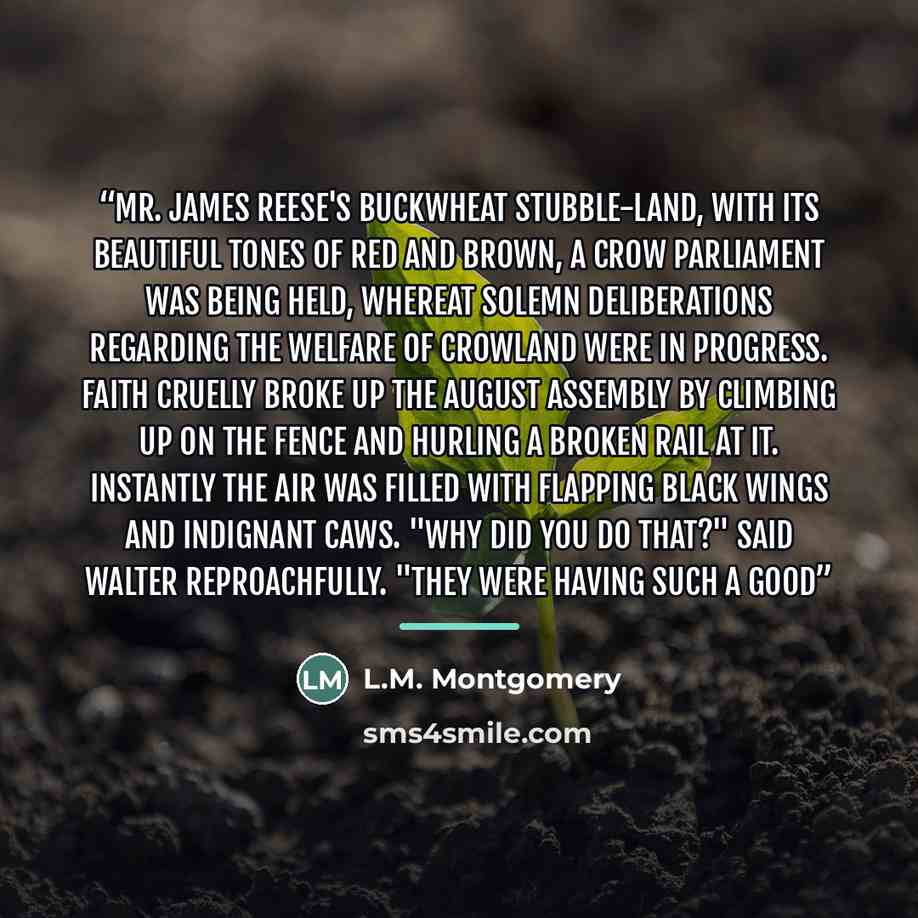 “Mr. James Reese's buckwheat stubble-land, with its beautiful tones of red and brown, a crow parliament was being held, whereat solemn deliberations regarding the welfare of crowland were in progress. Faith cruelly broke up the august assembly by climbing up on the fence and hurling a broken rail…” quote by L.M. Montgomery