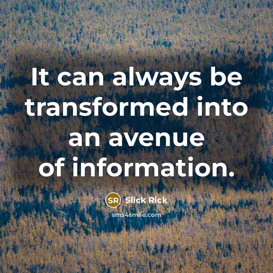 “It can always be transformed into an avenue of information.” quote by Slick Rick