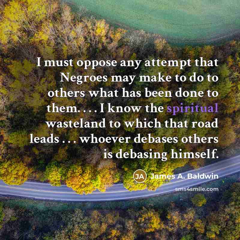 “I must oppose any attempt that Negroes may make to do to others what has been done to them. . . . I know the spiritual wasteland to which that road leads . . . whoever debases others is debasing himself.” quote by James A. Baldwin