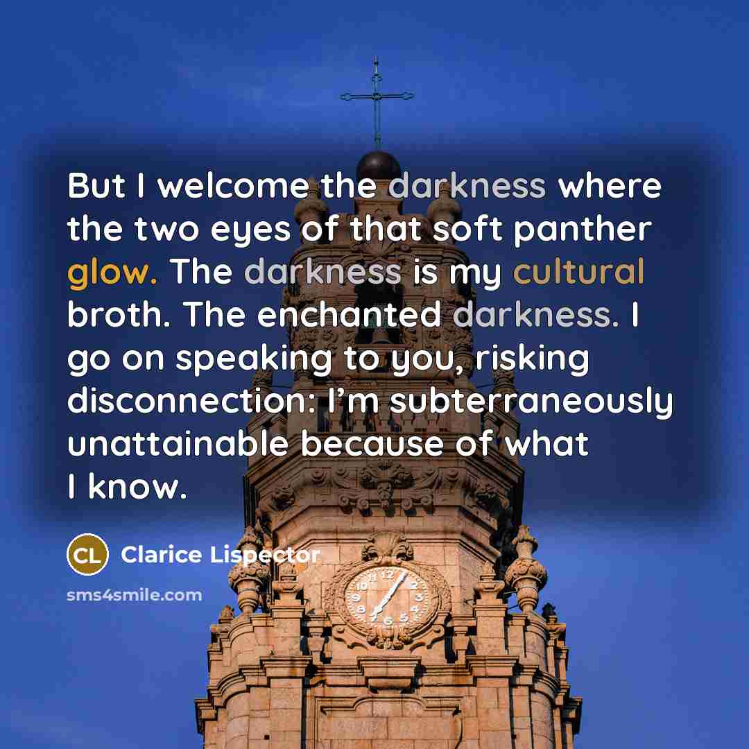 “But I welcome the darkness where the two eyes of that soft panther glow. The darkness is my cultural broth. The enchanted darkness. I go on speaking to you, risking disconnection: I’m subterraneously unattainable because of what I know.” quote by Clarice Lispector