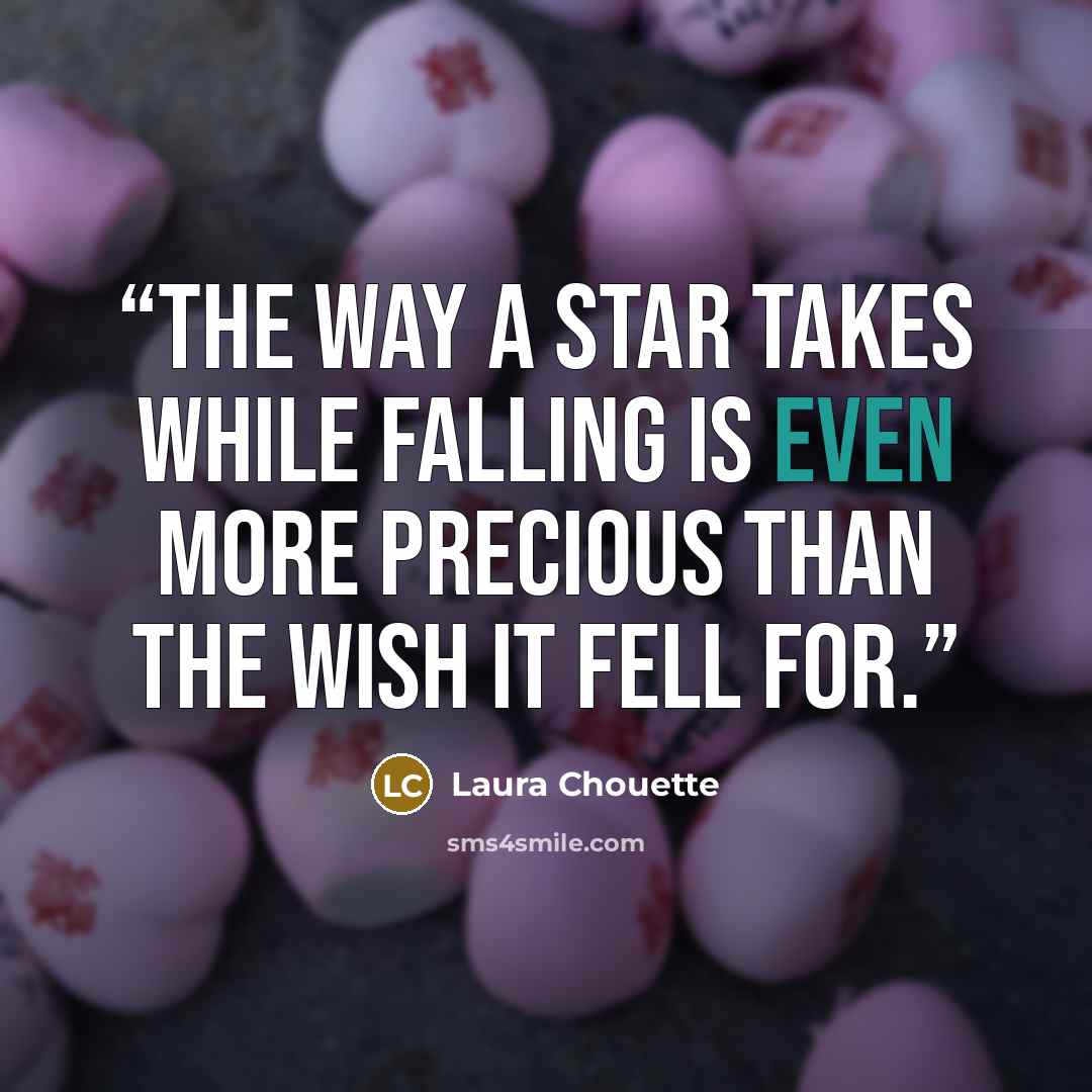 “The way a star takes while falling is even more precious than the wish it fell for.” quote by Laura Chouette