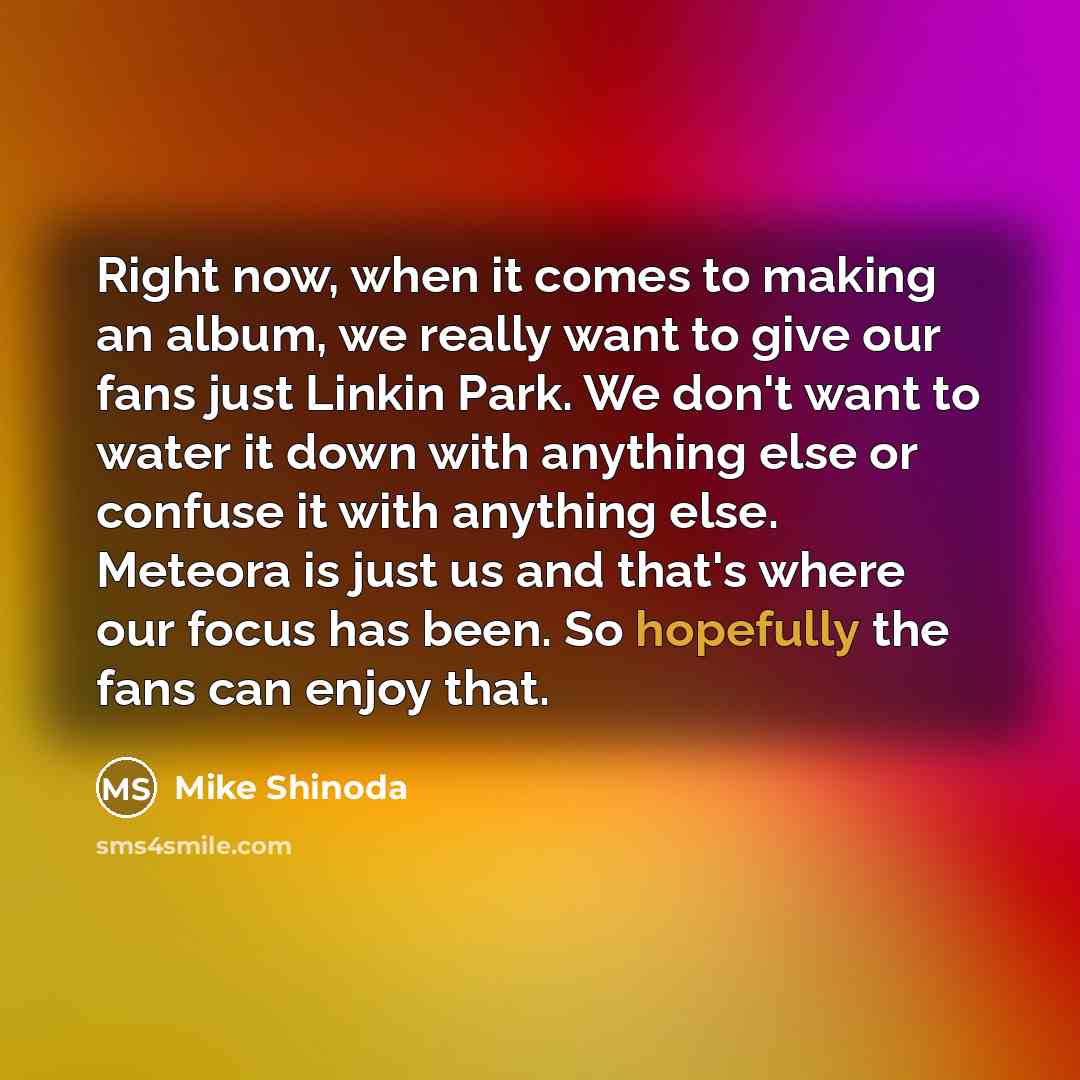 “Right now, when it comes to making an album, we really want to give our fans just Linkin Park. We don't want to water it down with anything else or confuse it with anything else. Meteora is just us and that's where our focus has been. So hopefully the fans can enjoy that.” quote by Mike Shinoda