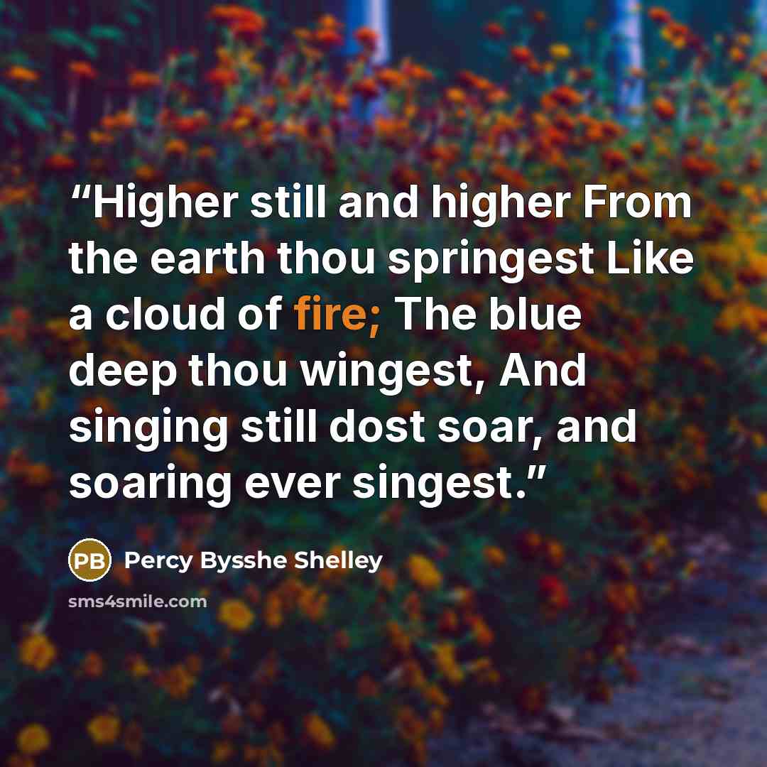 “Higher still and higher From the earth thou springest Like a cloud of fire; The blue deep thou wingest, And singing still dost soar, and soaring ever singest.” quote by Percy Bysshe Shelley