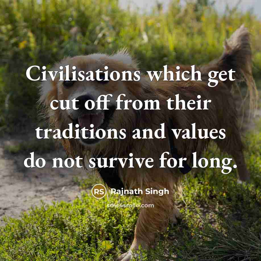 “Civilisations which get cut off from their traditions and values do not survive for long.” quote by Rajnath Singh