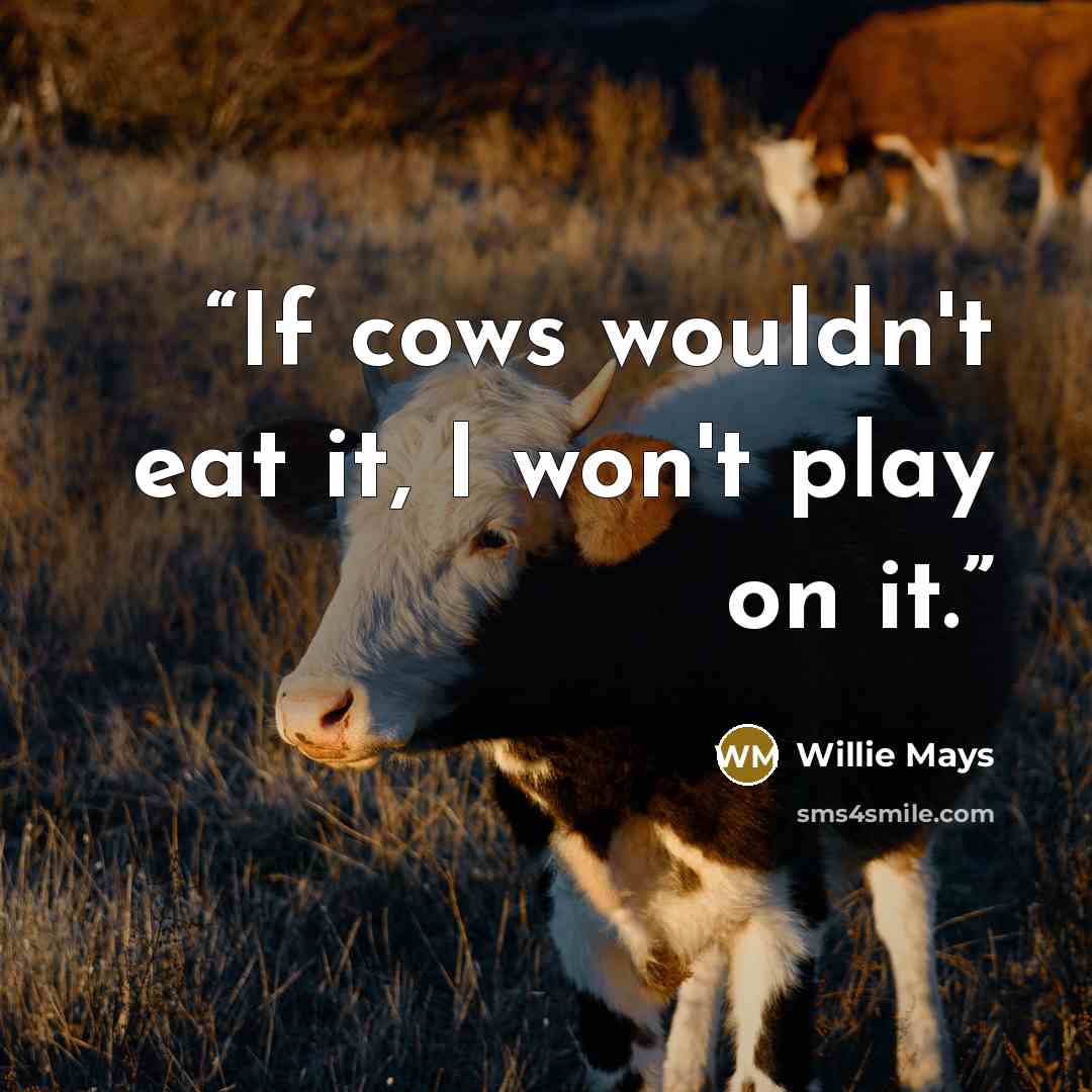“If cows wouldn't eat it, I won't play on it.” quote by Willie Mays