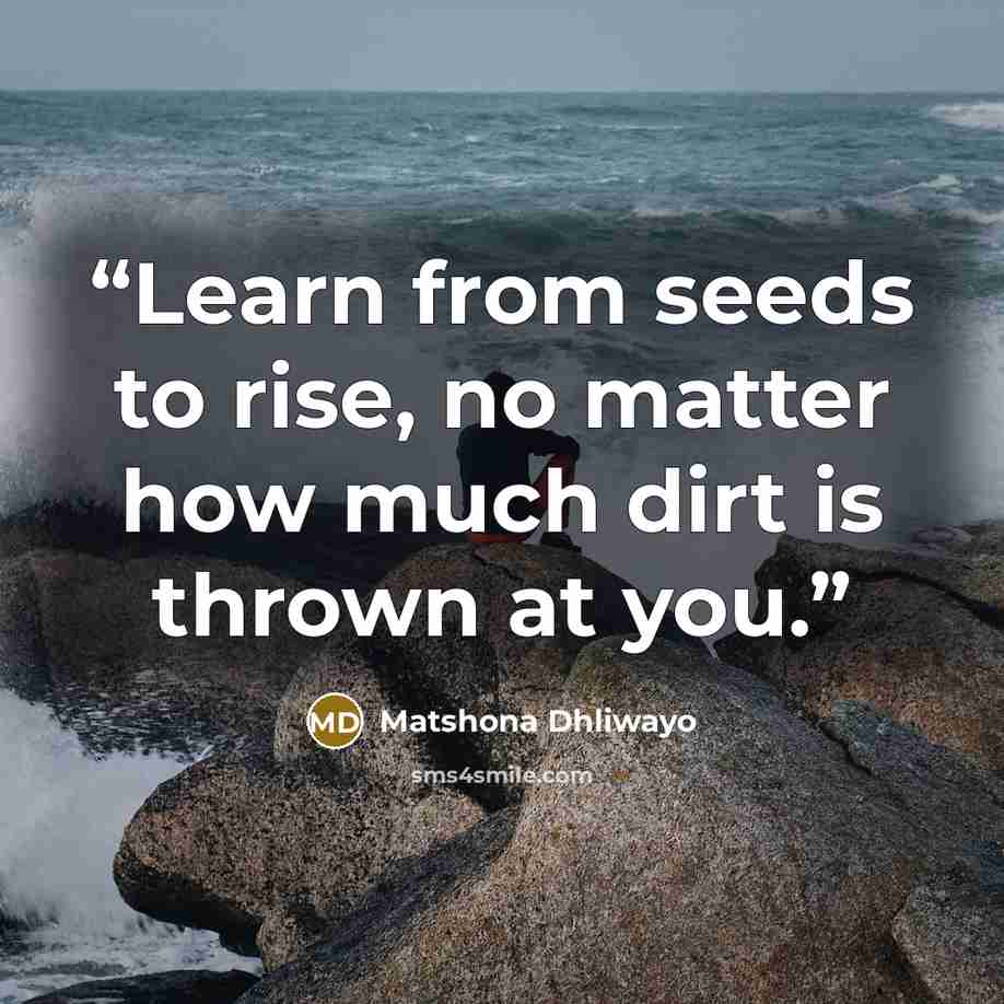 “Learn from seeds to rise, no matter how much dirt is thrown at you.” quote by Matshona Dhliwayo
