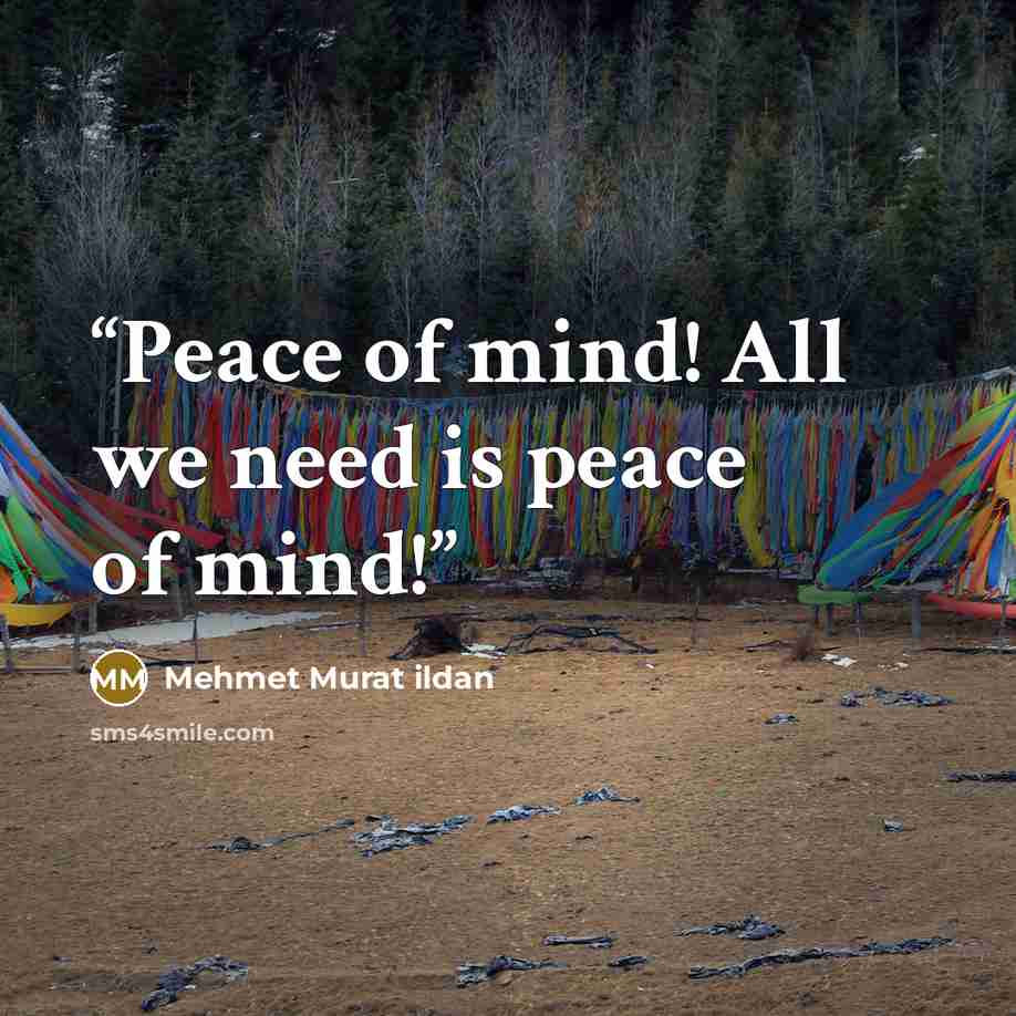 “Peace of mind! All we need is peace of mind!” quote by Mehmet Murat ildan