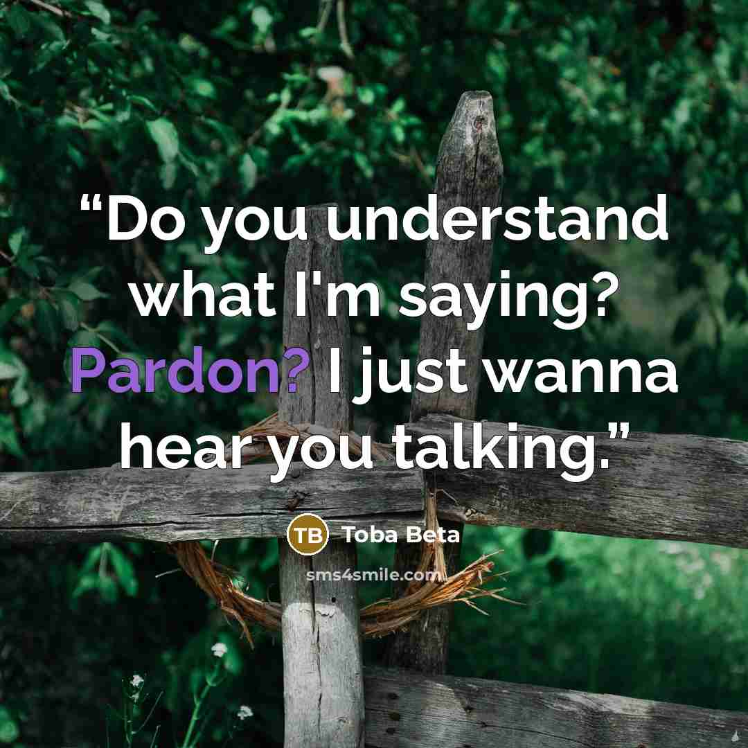 “Do you understand what I'm saying? Pardon? I just wanna hear you talking.” quote by Toba Beta