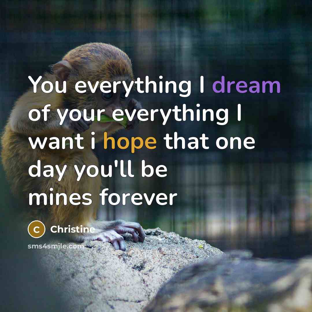 “You everything I dream of your everything I want i hope that one day you'll be mines forever” quote by Christine