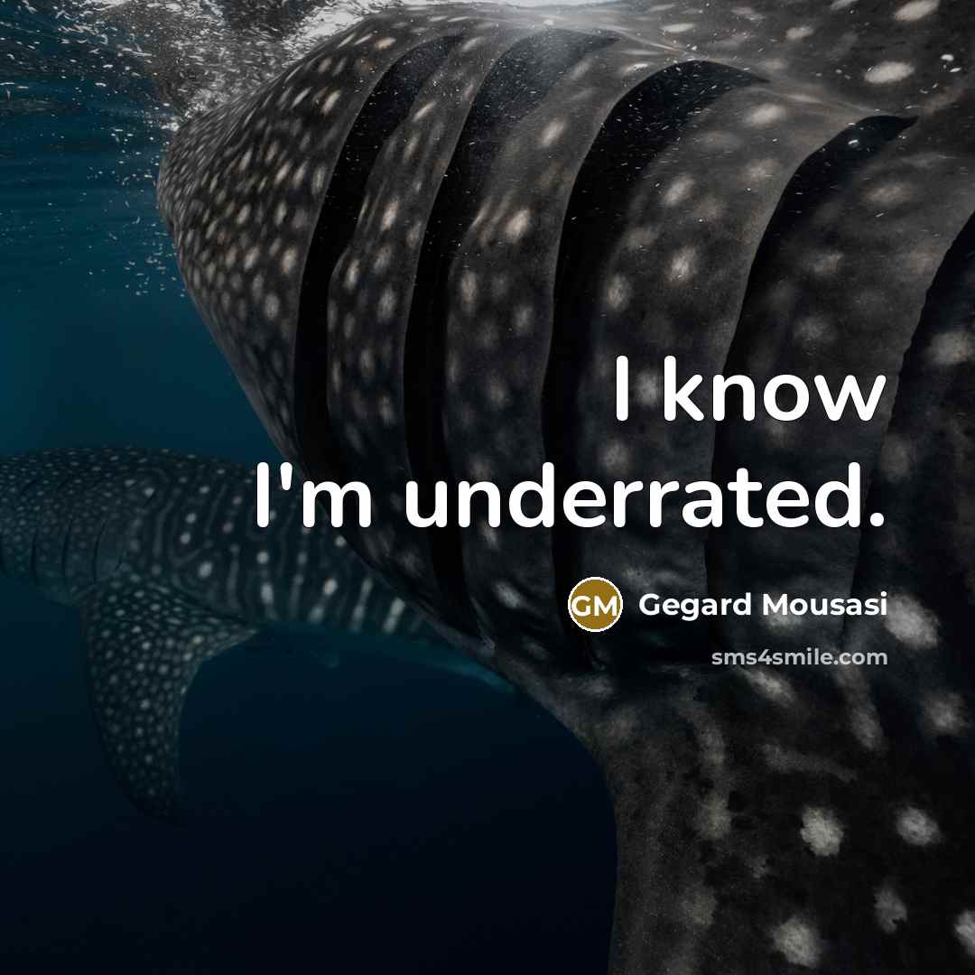 “I know I'm underrated.” quote by Gegard Mousasi