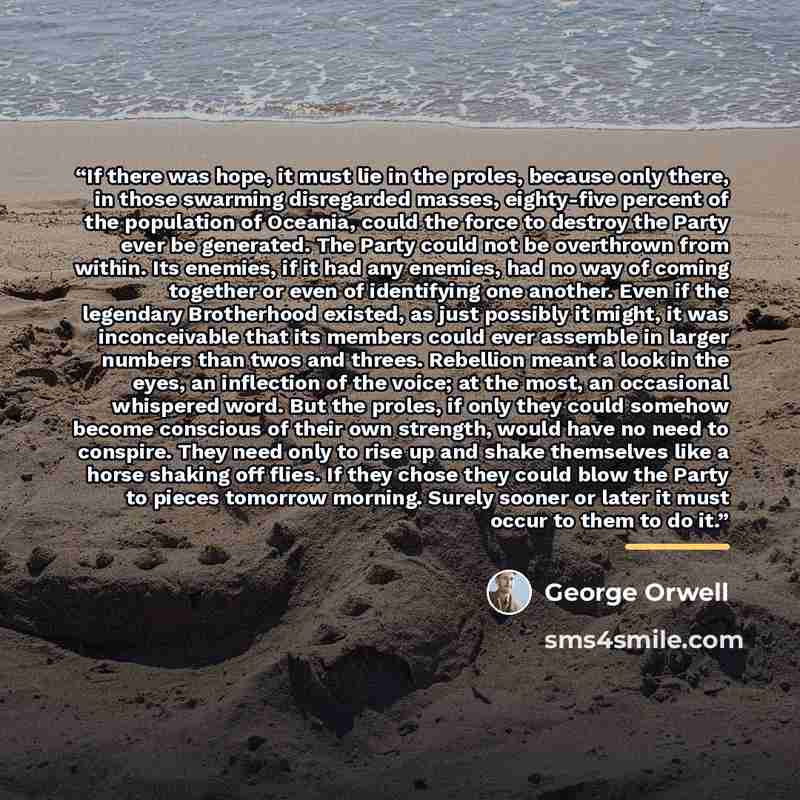 “If there was hope, it must lie in the proles, because only there, in those swarming disregarded masses, eighty-five percent of the population of Oceania, could the force to destroy the Party ever be generated. The Party could not be overthrown from within. Its enemies, if it had any enemies, had…” quote by George Orwell