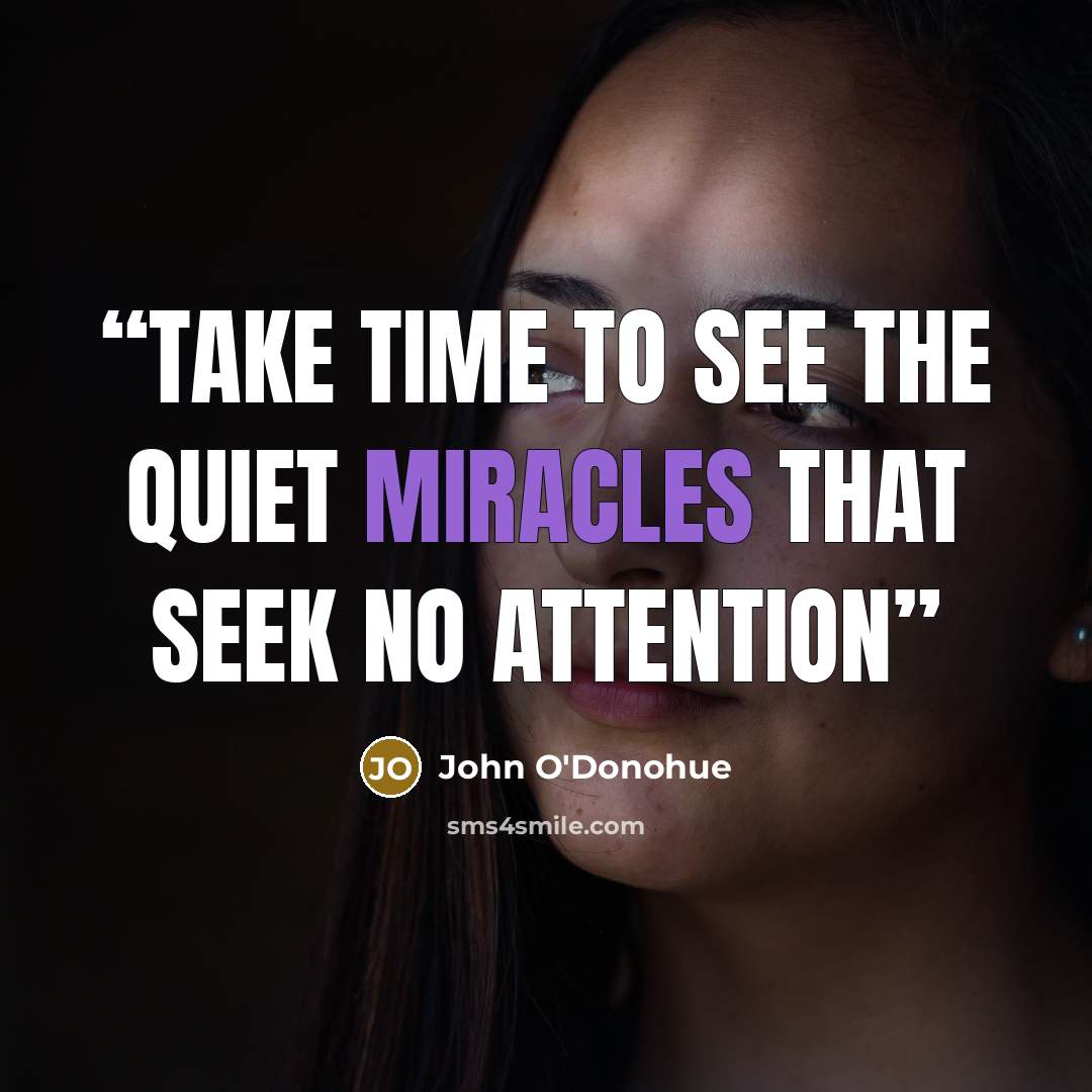 “Take time to see the quiet miracles that seek no attention” quote by John O'Donohue
