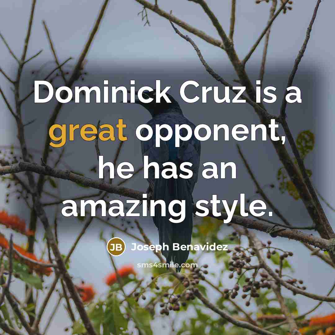 “Dominick Cruz is a great opponent, he has an amazing style.” quote by Joseph Benavidez