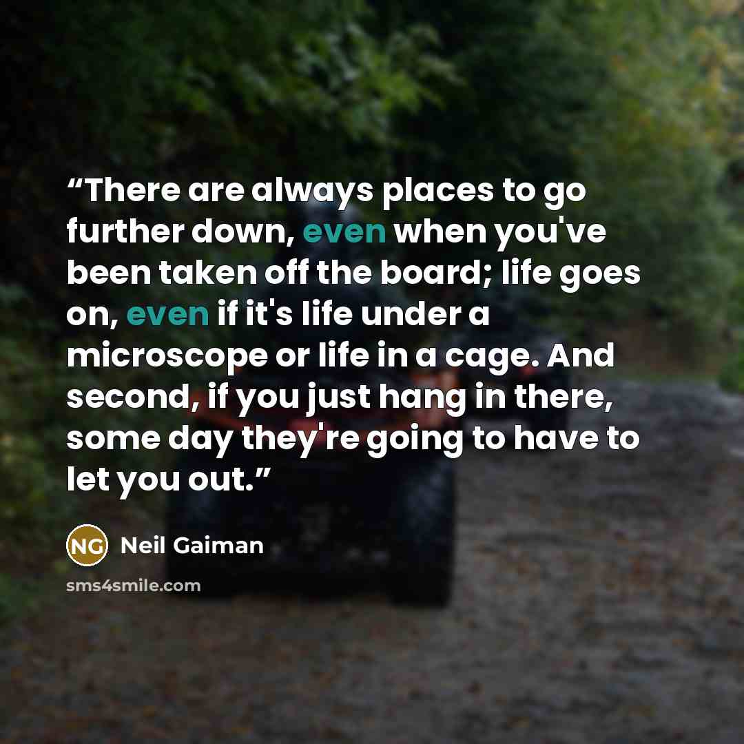 “There are always places to go further down, even when you've been taken off the board; life goes on, even if it's life under a microscope or life in a cage. And second, if you just hang in there, some day they're going to have to let you out.” quote by Neil Gaiman
