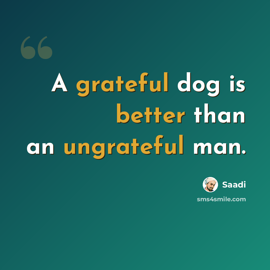 “A grateful dog is better than an ungrateful man.” quote by Saadi