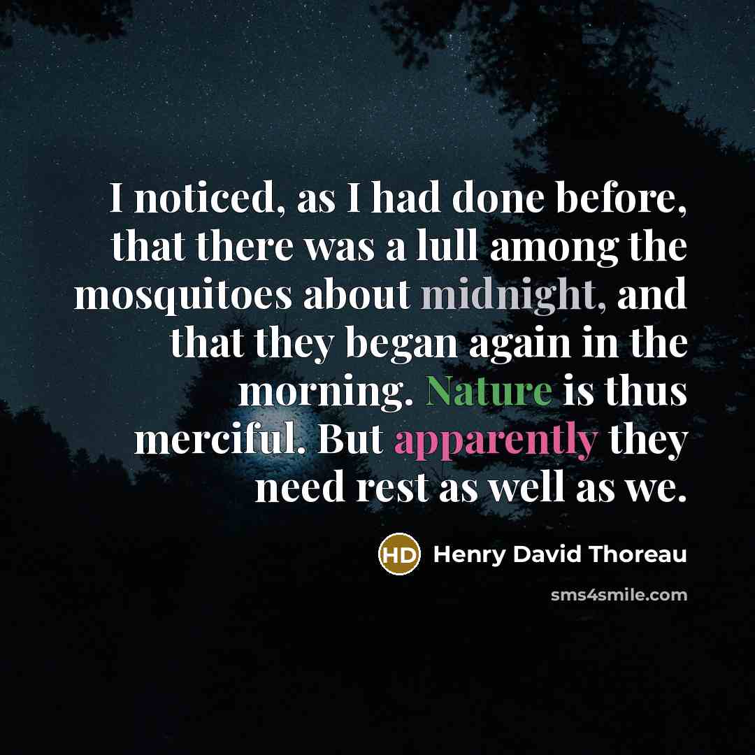 “I noticed, as I had done before, that there was a lull among the mosquitoes about midnight, and that they began again in the morning. Nature is thus merciful. But apparently they need rest as well as we.” quote by Henry David Thoreau