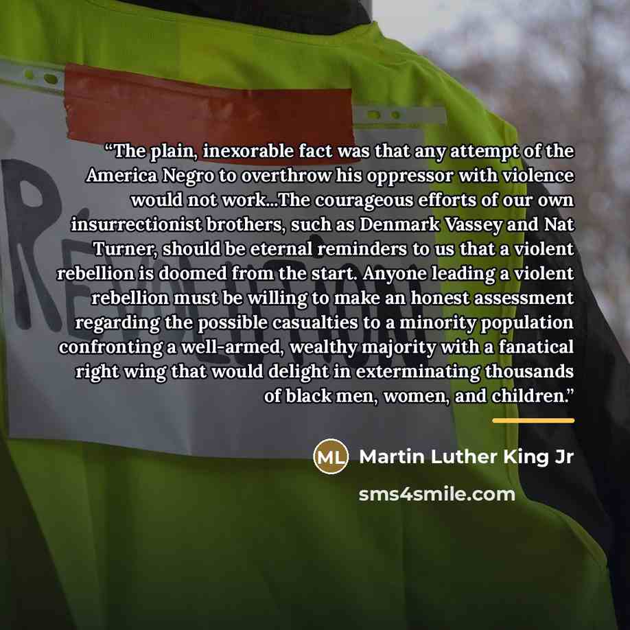 “The plain, inexorable fact was that any attempt of the America Negro to overthrow his oppressor with violence would not work...The courageous efforts of our own insurrectionist brothers, such as Denmark Vassey and Nat Turner, should be eternal reminders to us that a violent rebellion is doomed…” quote by Martin Luther King Jr