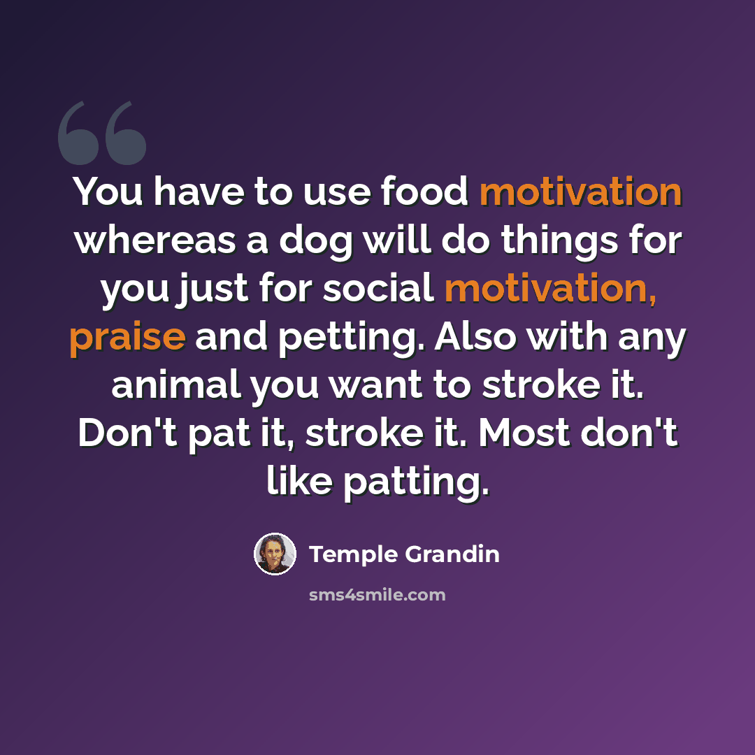 “You have to use food motivation whereas a dog will do things for you just for social motivation, praise and petting. Also with any animal you want to stroke it. Don't pat it, stroke it. Most don't like patting.” quote by Temple Grandin