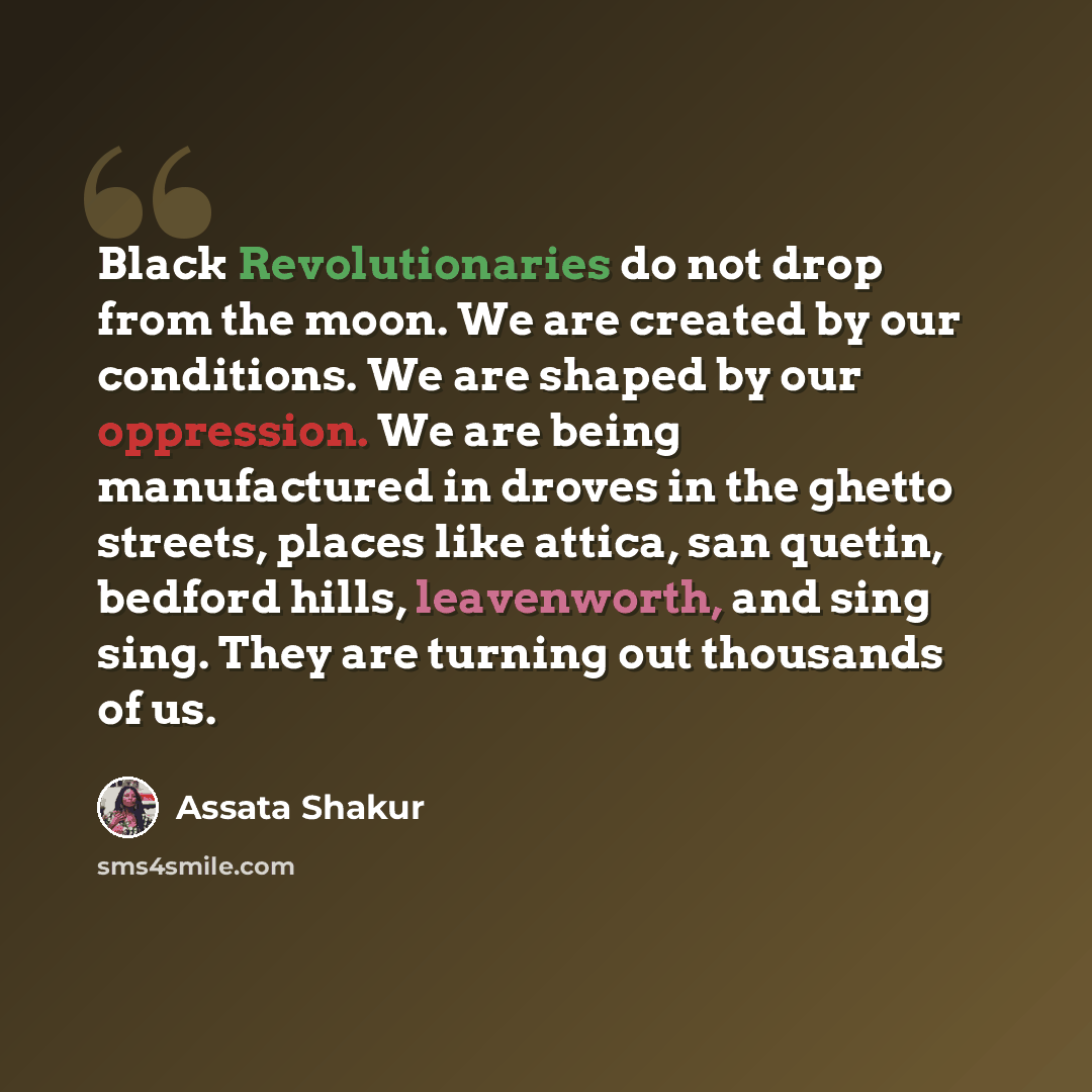 “Black Revolutionaries do not drop from the moon. We are created by our conditions. We are shaped by our oppression. We are being manufactured in droves in the ghetto streets, places like attica, san quetin, bedford hills, leavenworth, and sing sing. They are turning out thousands of us.” quote by Assata Shakur