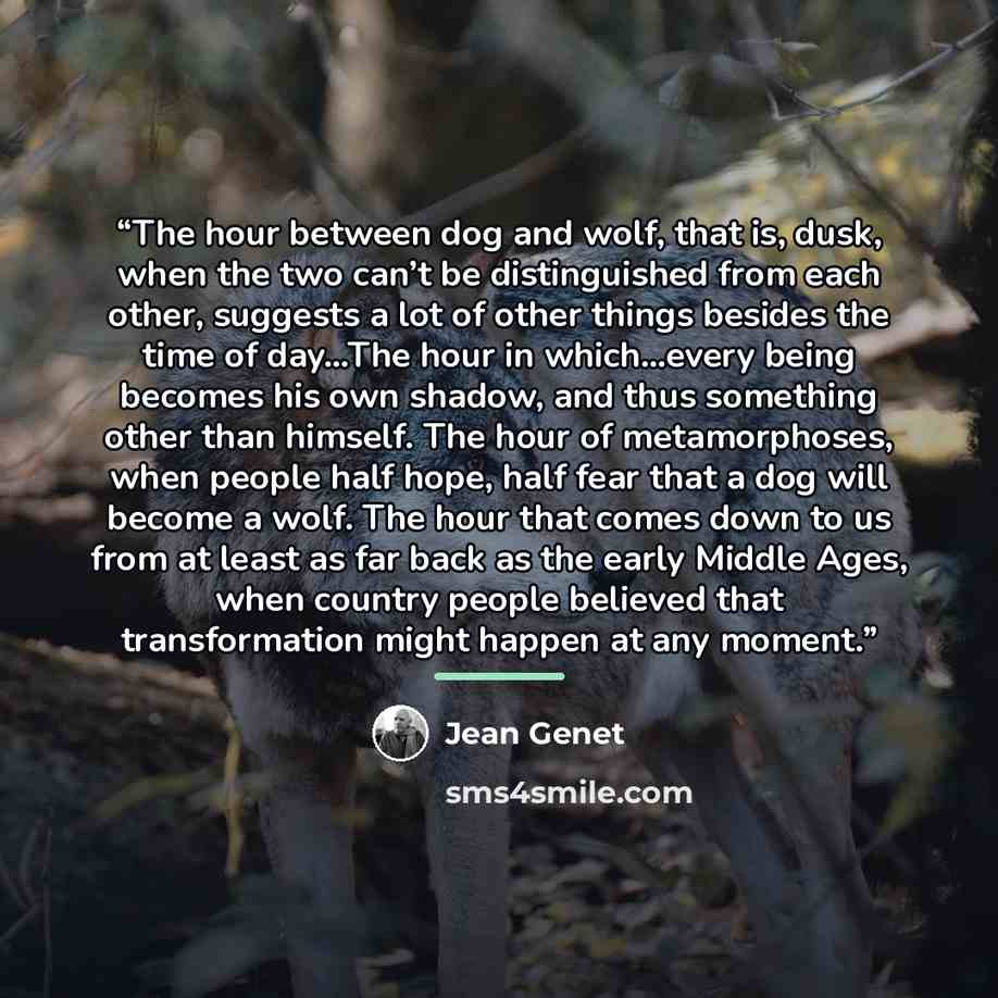 “The hour between dog and wolf, that is, dusk, when the two can’t be distinguished from each other, suggests a lot of other things besides the time of day…The hour in which…every being becomes his own shadow, and thus something other than himself. The hour of metamorphoses, when people half hope…” quote by Jean Genet