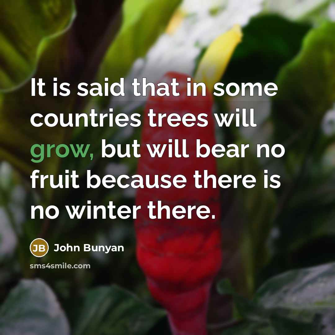 “It is said that in some countries trees will grow, but will bear no fruit because there is no winter there.” quote by John Bunyan