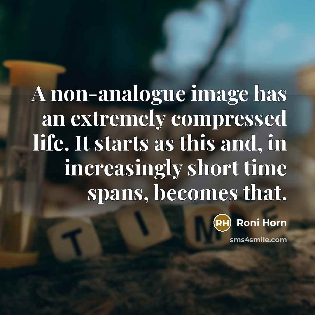 “A non-analogue image has an extremely compressed life. It starts as this and, in increasingly short time spans, becomes that.” quote by Roni Horn