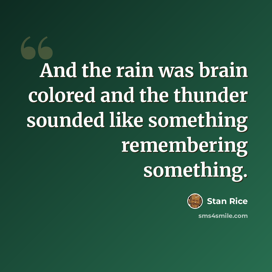 “And the rain was brain colored and the thunder sounded like something remembering something.” quote by Stan Rice