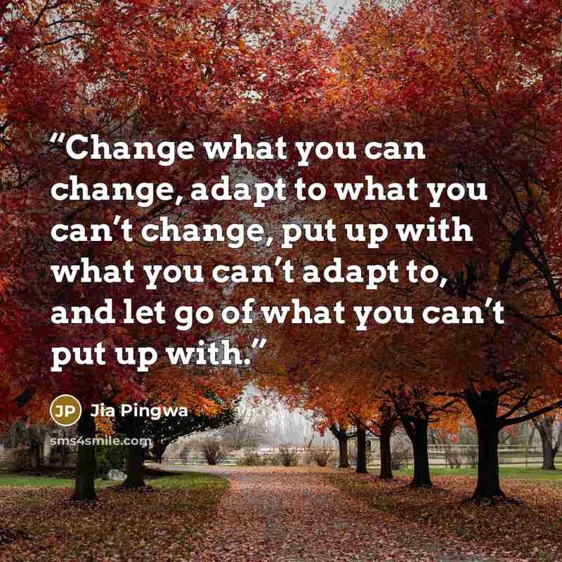 “Change what you can change, adapt to what you can’t change, put up with what you can’t adapt to, and let go of what you can’t put up with.” quote by Jia Pingwa