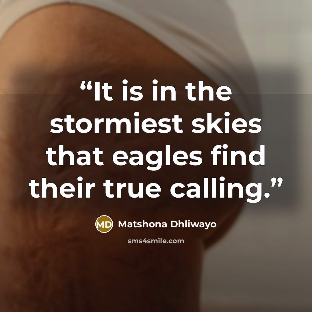 “It is in the stormiest skies that eagles find their true calling.” quote by Matshona Dhliwayo