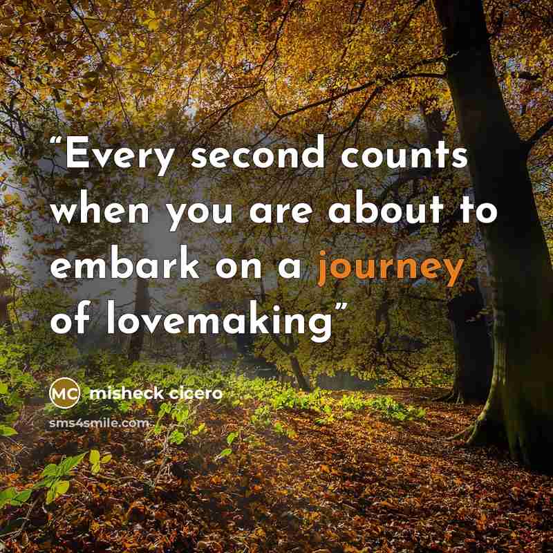 “Every second counts when you are about to embark on a journey of lovemaking” quote by misheck cicero
