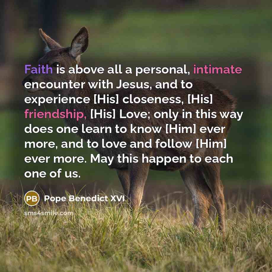 “Faith is above all a personal, intimate encounter with Jesus, and to experience [His] closeness, [His] friendship, [His] Love; only in this way does one learn to know [Him] ever more, and to love and follow [Him] ever more. May this happen to each one of us.” quote by Pope Benedict XVI