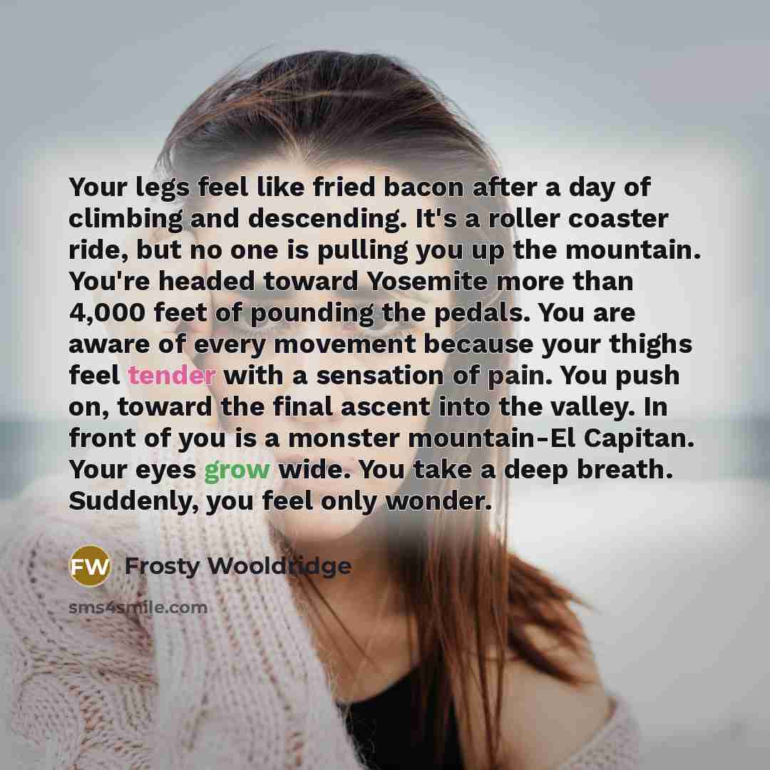 “Your legs feel like fried bacon after a day of climbing and descending. It's a roller coaster ride, but no one is pulling you up the mountain. You're headed toward Yosemite more than 4,000 feet of pounding the pedals. You are aware of every movement because your thighs feel tender with a sensation…” quote by Frosty Wooldridge