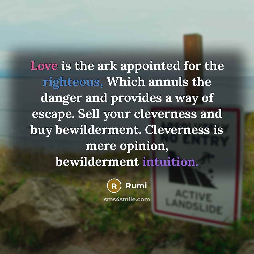 “Love is the ark appointed for the righteous, Which annuls the danger and provides a way of escape. Sell your cleverness and buy bewilderment. Cleverness is mere opinion, bewilderment intuition.” quote by Rumi
