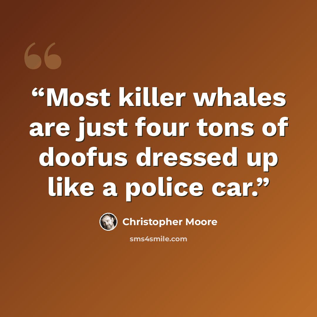 “Most killer whales are just four tons of doofus dressed up like a police car.” quote by Christopher Moore