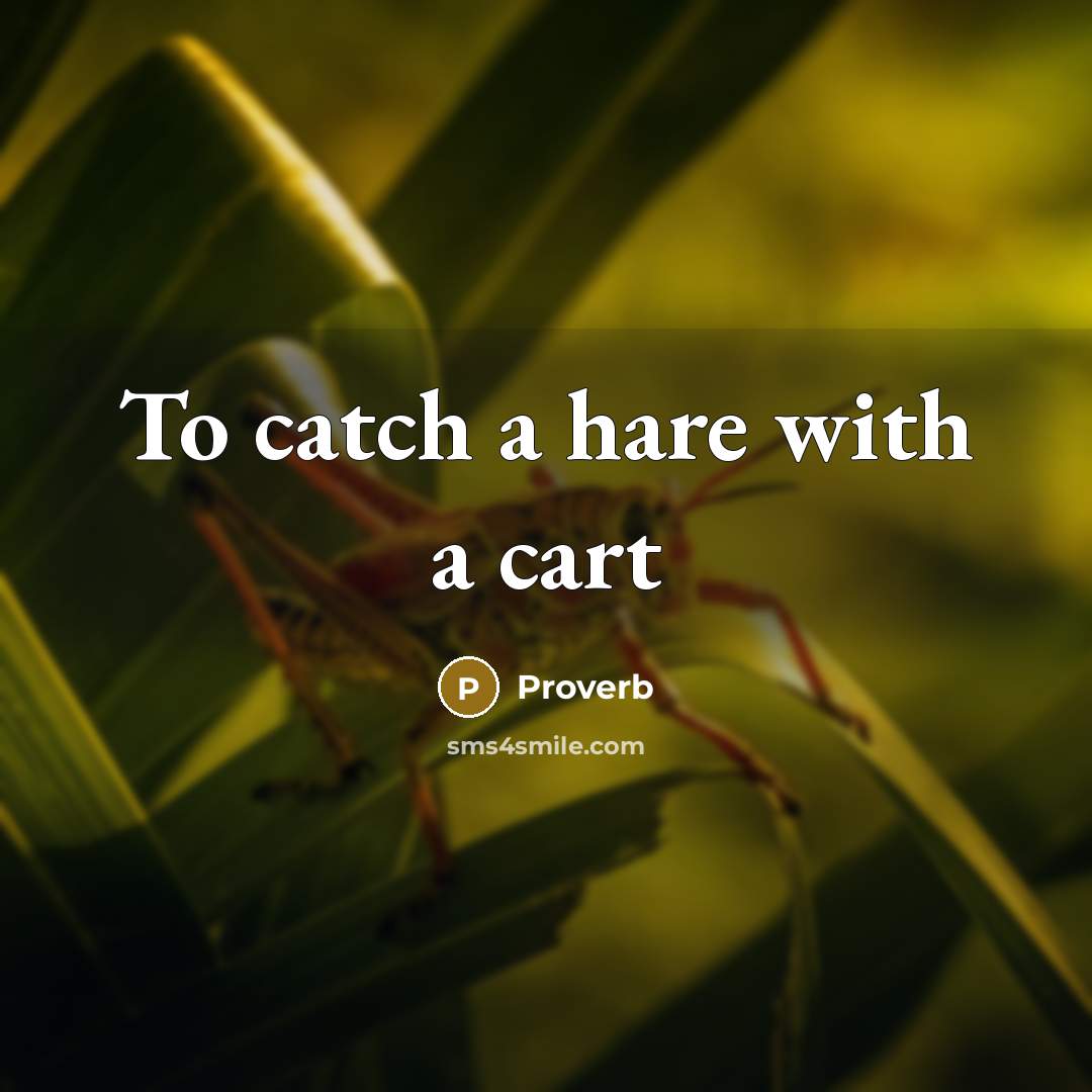 “To catch a hare with a cart” quote by Proverb